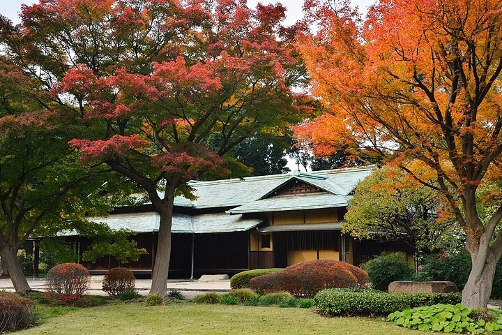 The East Garden of the Imperial Palace 2h Walking Tour