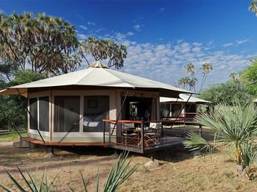 Maasai mara