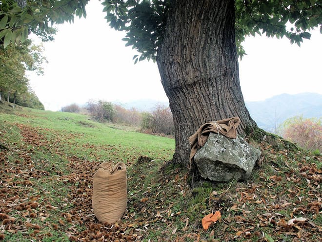 Lo Sghimbescio by bike photo 5