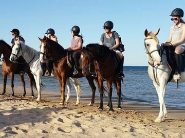Horseback Riding Adventure in Hurghada, Egypt
