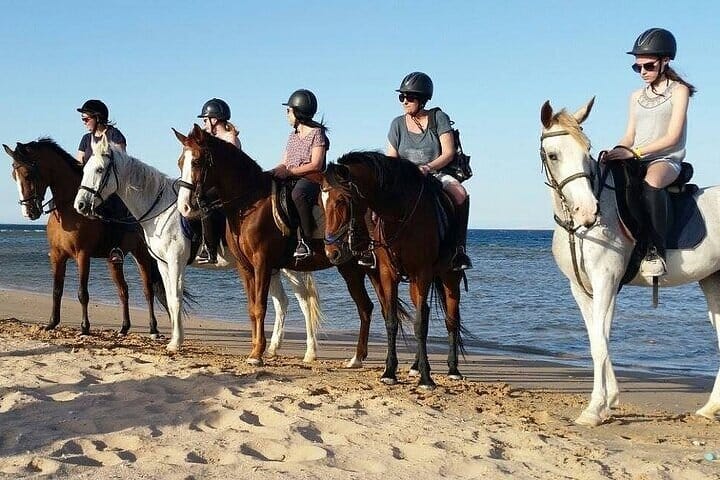Two Hours Adventure Horse Riding In Hurghada 3