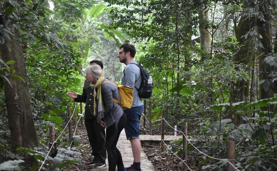 Hiking Adventure in Cuc Phuong National Park from Hanoi