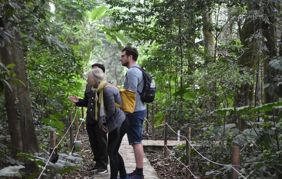 Hiking Adventure in Cuc Phuong National Park from Hanoi