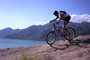 Mountain Bike Adventure from Mendoza