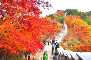 Bukhansan Mountain Hiking Private Tour including Jjimjilbang & Spa,Korean BBQ