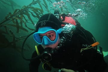Scuba Diving Adventure in Paracas, Peru with PADI Guide