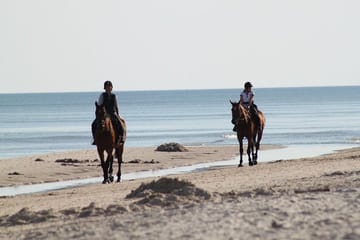 Horseback Riding Along the Beaches of Rhodes, Greece