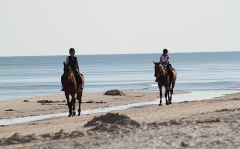 Horseback Riding Along the Beaches of Rhodes, Greece
