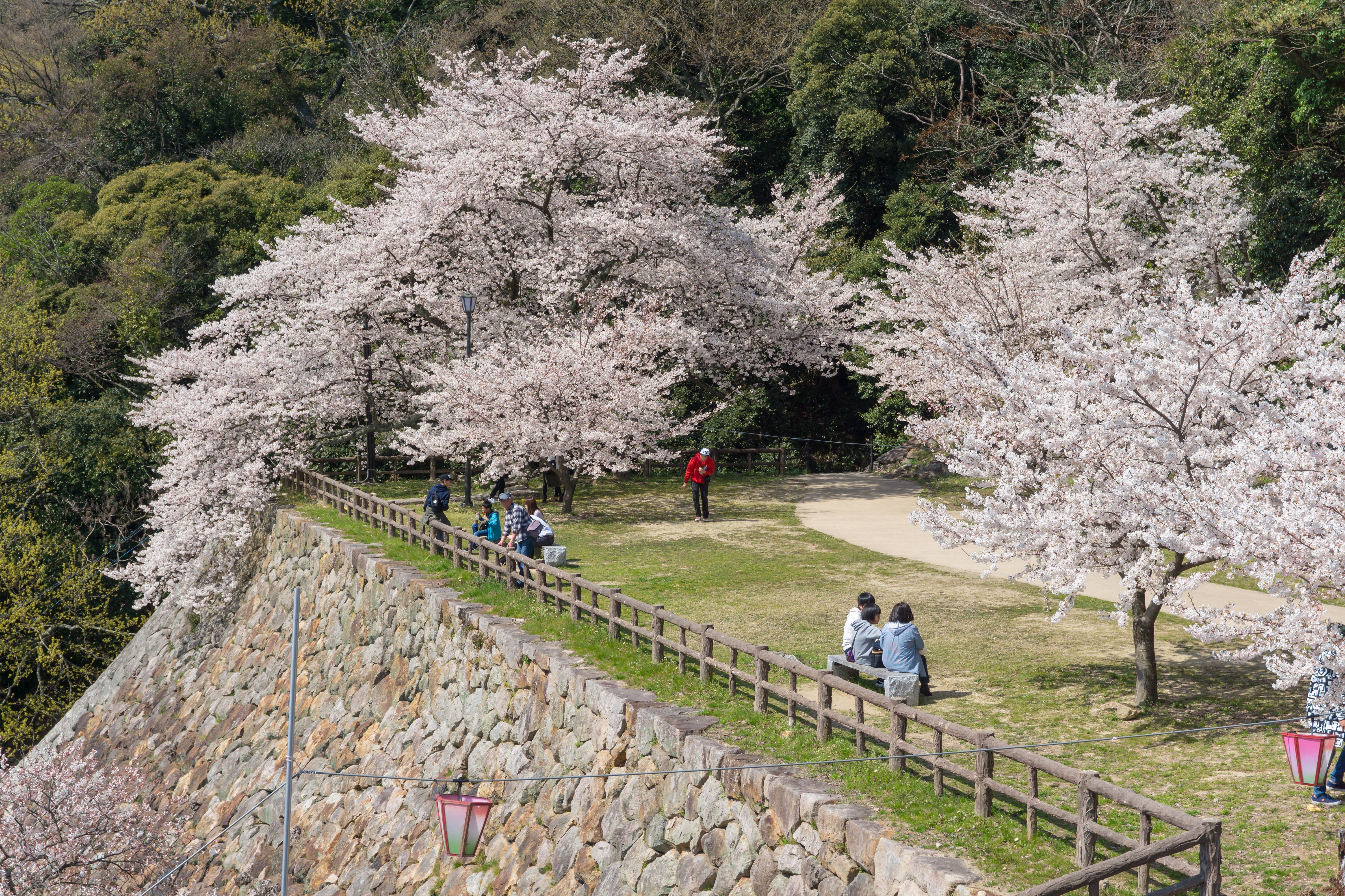 Tottori Custom Day Tour