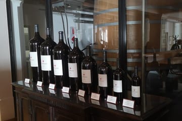 Private Guided Tour of Cape Winelands from Cape Town