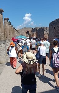 Pompeii tour from Naples, with guide driver and ticket.