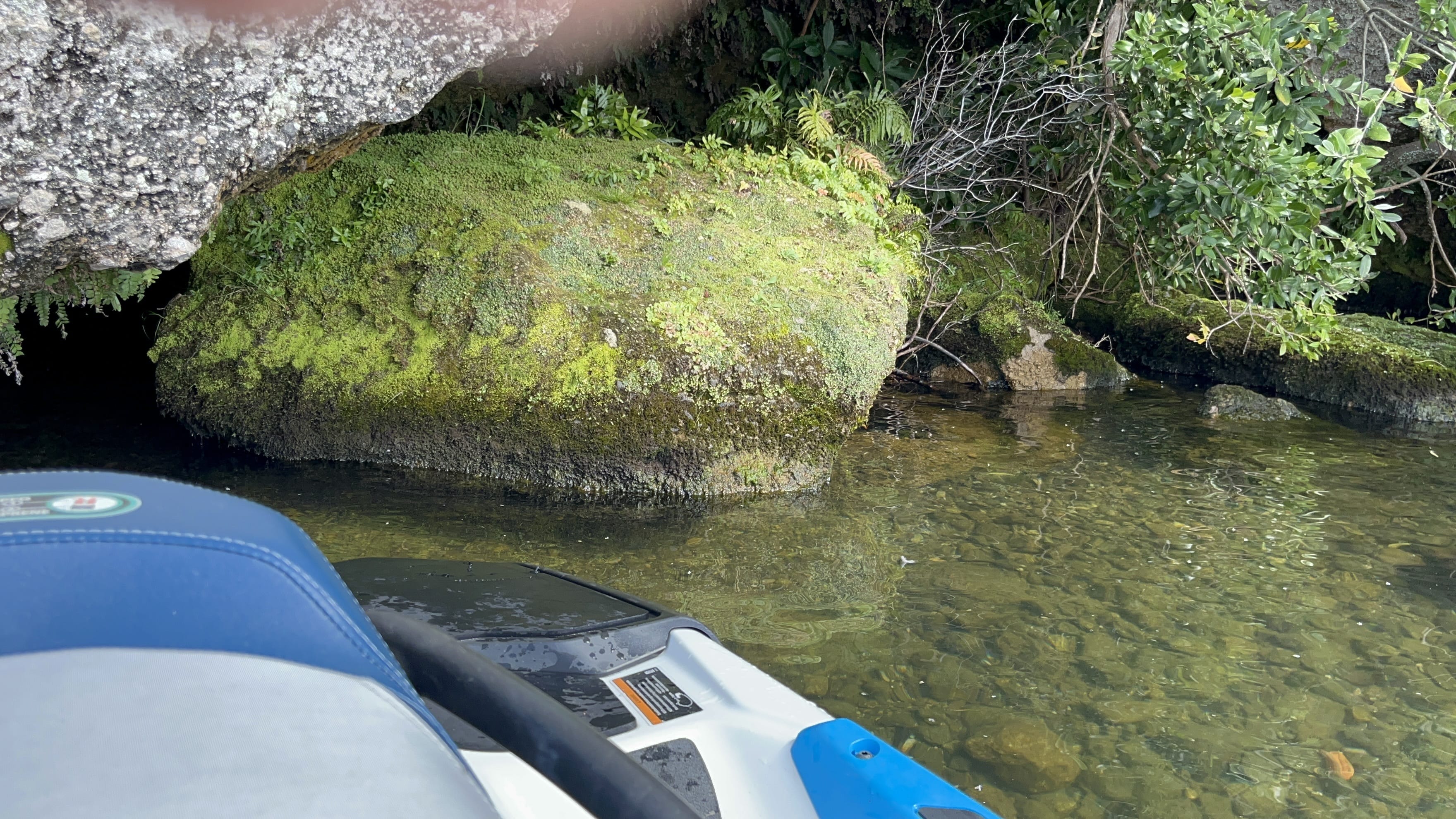 Cave with moss growing out doors wet lands lake
