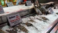 Pattaya by Day & by Night 7