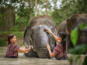 Khao Sok 3-Day 2-Night Adventure Escape with 7 Meals