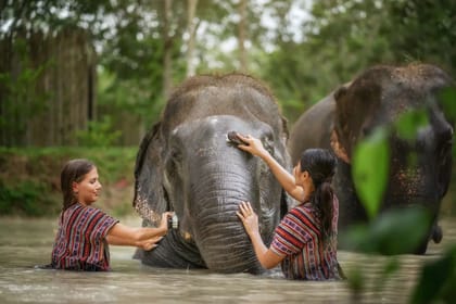Phuket: Jumbo Elephant Program