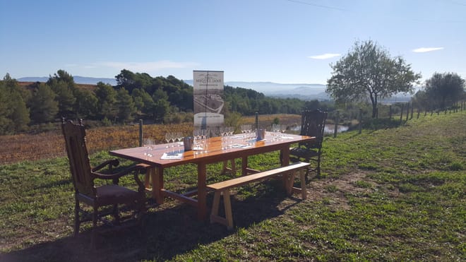 Visit to winery with wine tasting and grilled menu   4