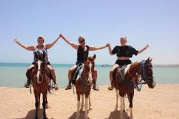 Horseback Riding Adventure in Hurghada, Egypt