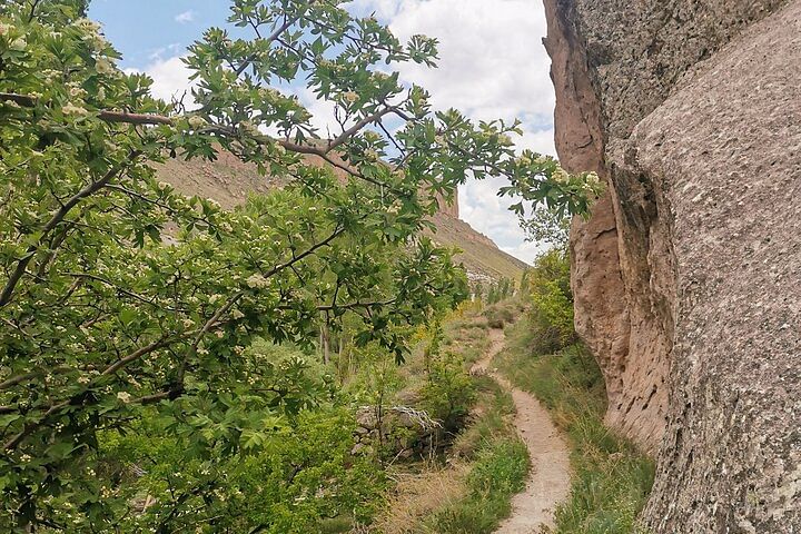 Private Trekking Adventure in Cappadocia: Explore Stunning Valleys