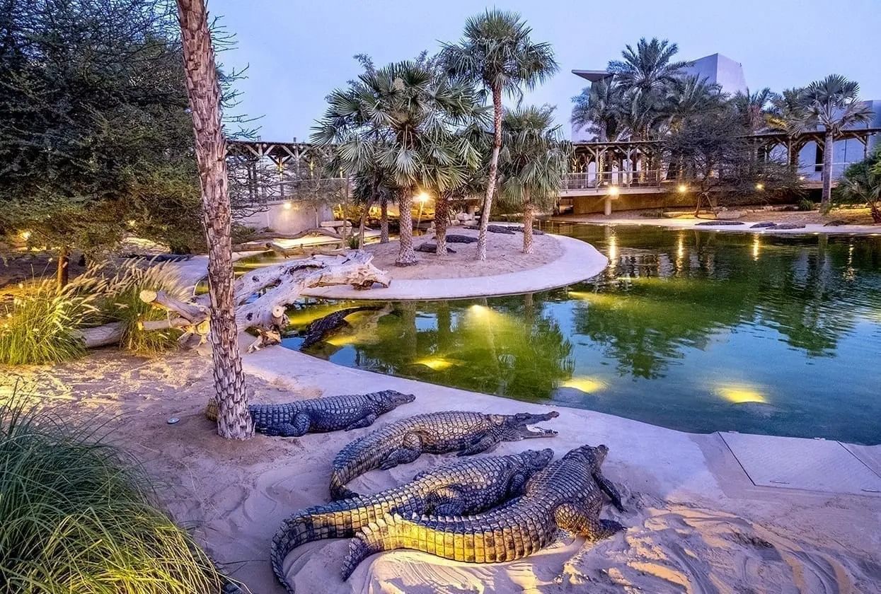 Dubai Crocodile Park Tickets