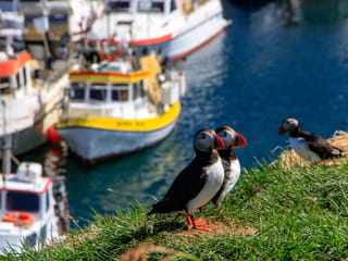 8-Day Small Group Journey Around Iceland, photo 23