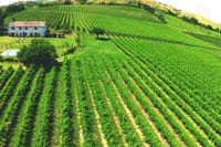 Tuscany countryside