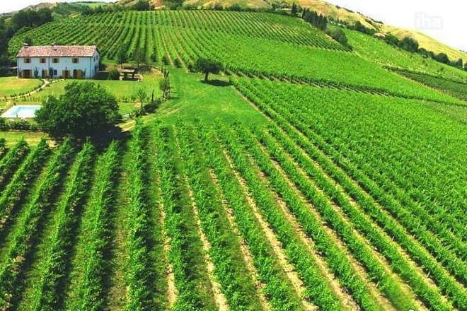 Tuscany countryside
