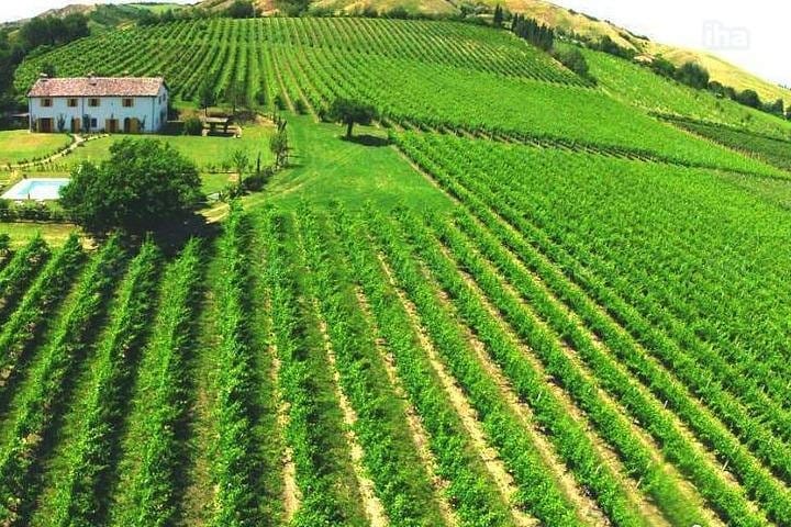 Tuscany countryside