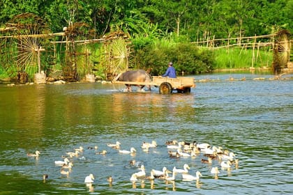 Pu Luong 3 Days Tour from Hanoi : Waterfall, Cave & Water Wheels