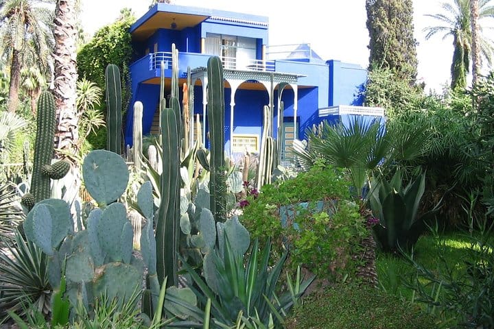 Majical Majorelle Garden and Camel Ride in Palmeraie of Marrakech
