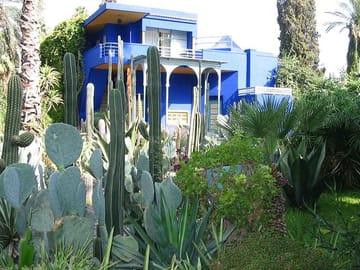 Majorelle Garden Tour and Camel Ride in Marrakech