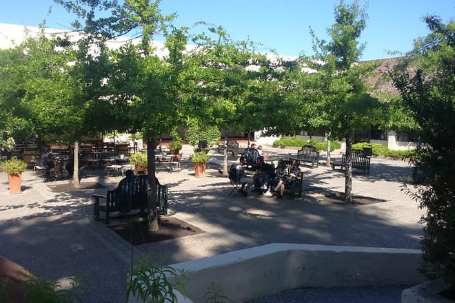 Private Casa Blanca Valley Wine Experience from Santiago 7