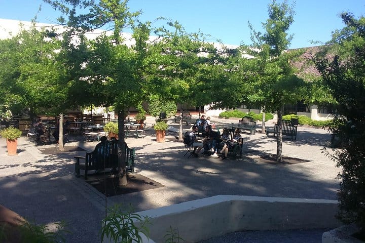 Private Casa Blanca Valley Wine Experience from Santiago 7