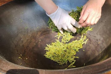 Longjing Tea Culture Experience Tour in Hangzhou