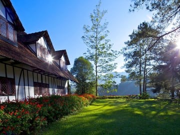 Private Day Tour of Cameron Highlands from Kuala Lumpur