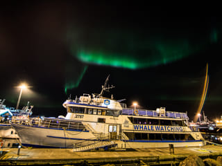 Golden Circle & Northern Lights by Boat Combo Tour, photo 28
