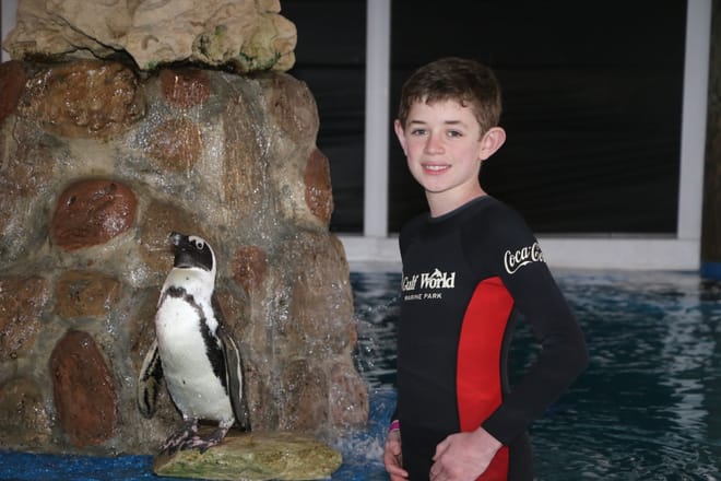 General Admission at Gulf World Marine Park photo 3
