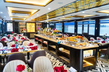 Luxury Day Cruise and Adventure Tour in Halong Bay