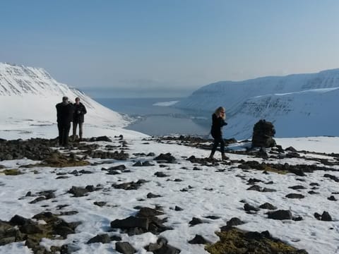 Isafjordur Mountain View, photo 3
