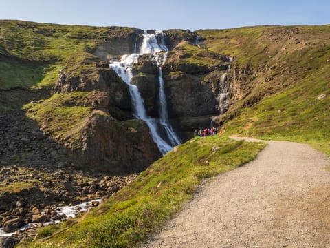Seyðisfjörður: Hidden Stuðlagil Canyon & Reindeer Tour, photo 5