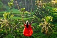 Best of Ubud Private All-Inclusive Day Tour 10