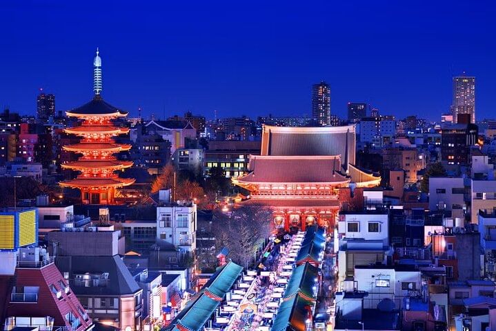 Tokyo Private Driving Tour by Car/Van with English Chauffeur