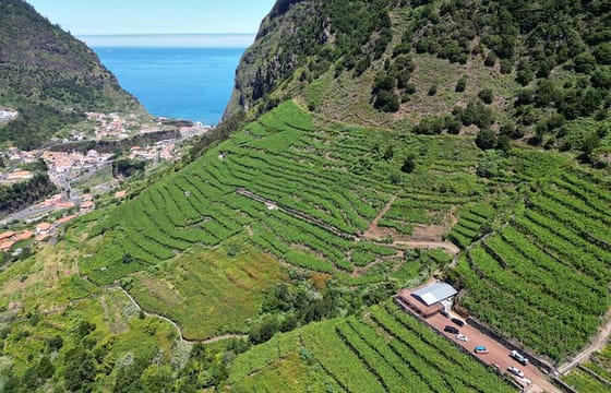 Wine taste, 4×4 Jeep Adventure and Cabo Girão Skywalk