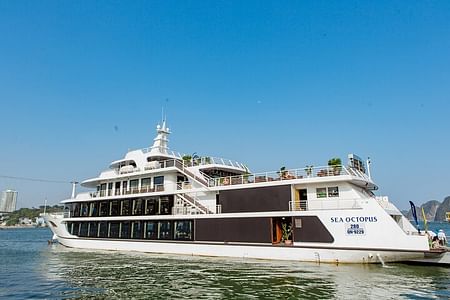 Luxury Sea Octopus Cruise: Unforgettable Gastronomy Journey in Halong Bay