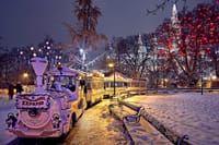 Full Day Private Vienna Christmas Market Tour from Budapest with Lunch 9