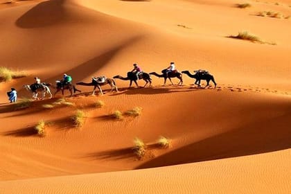 From Agadir : 3 Days Desert Tour to Merzouga Dunes end Kech / AGD