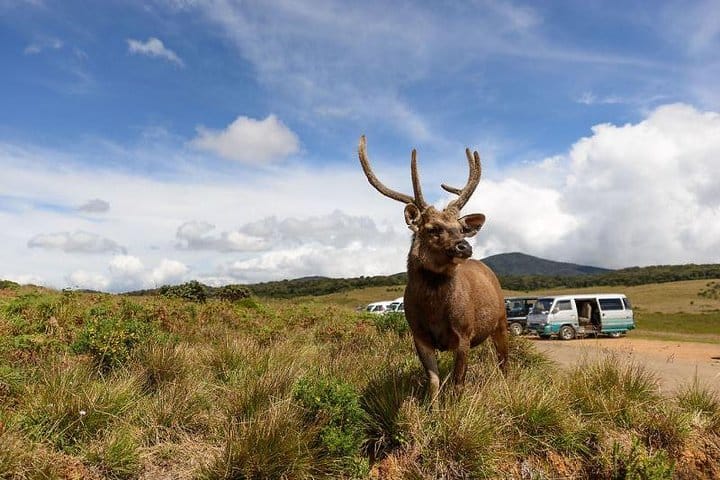 Highlights Of Sri Lanka – 4 Days