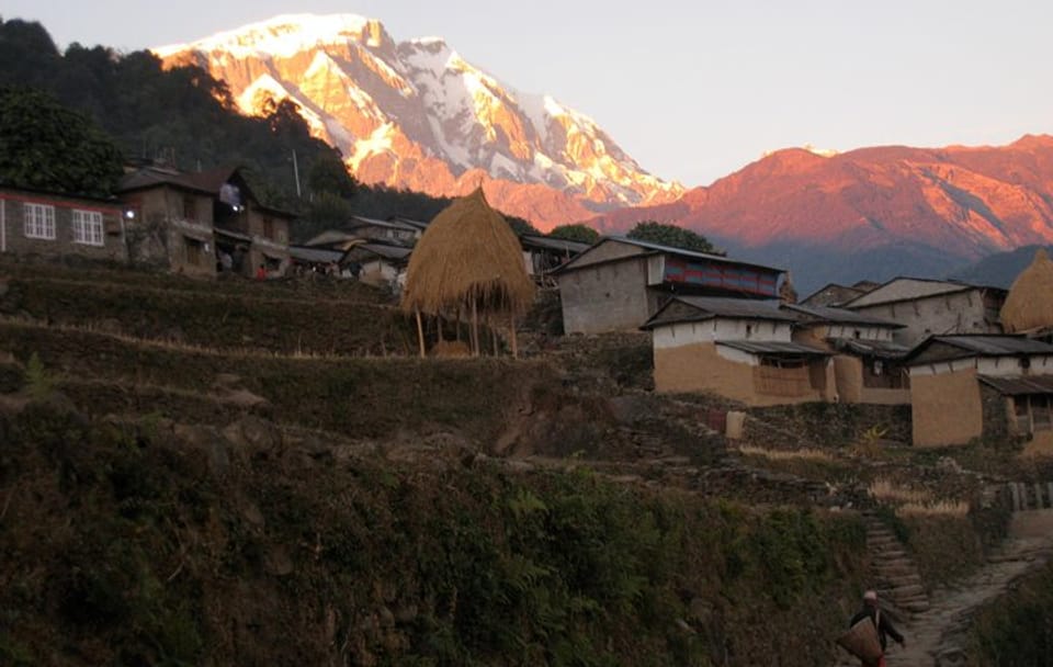 10 Days- Annapurna Sikles Village Homestay Hike
