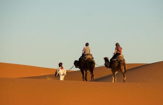 Trip To Merzouga Desert From Erfoud, Sunset Over Dunes Camel Ride