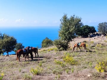 Horse Riding Adventure in Taurus Mountains, Alanya