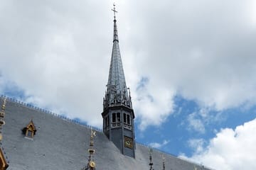 Historic Walking Tour of Beaune in Côte-d'Or, France